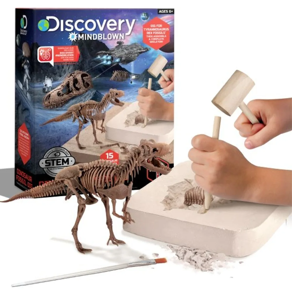 Discovery