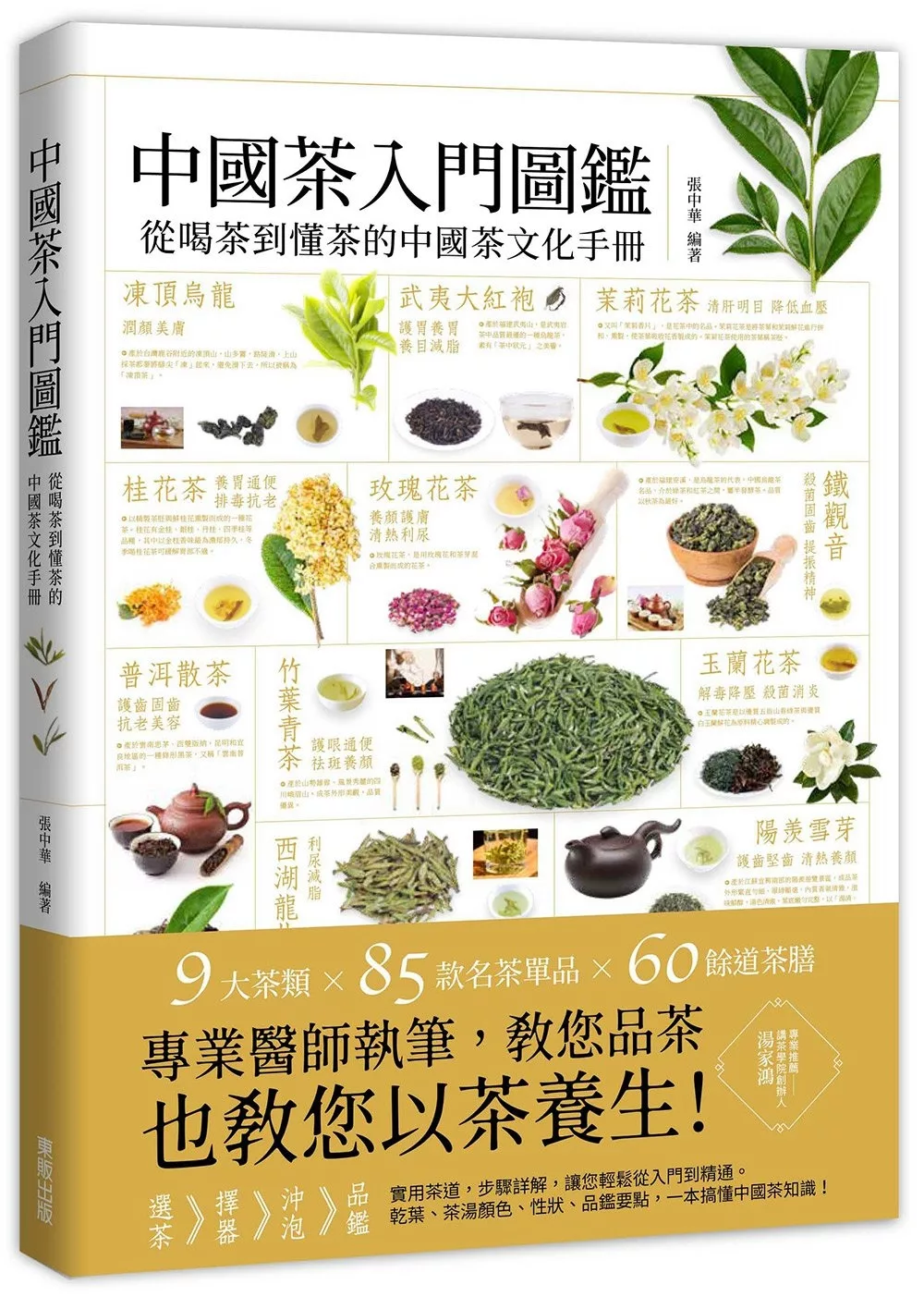 中國茶入門圖鑑：從喝茶到懂茶的中國茶文化手冊