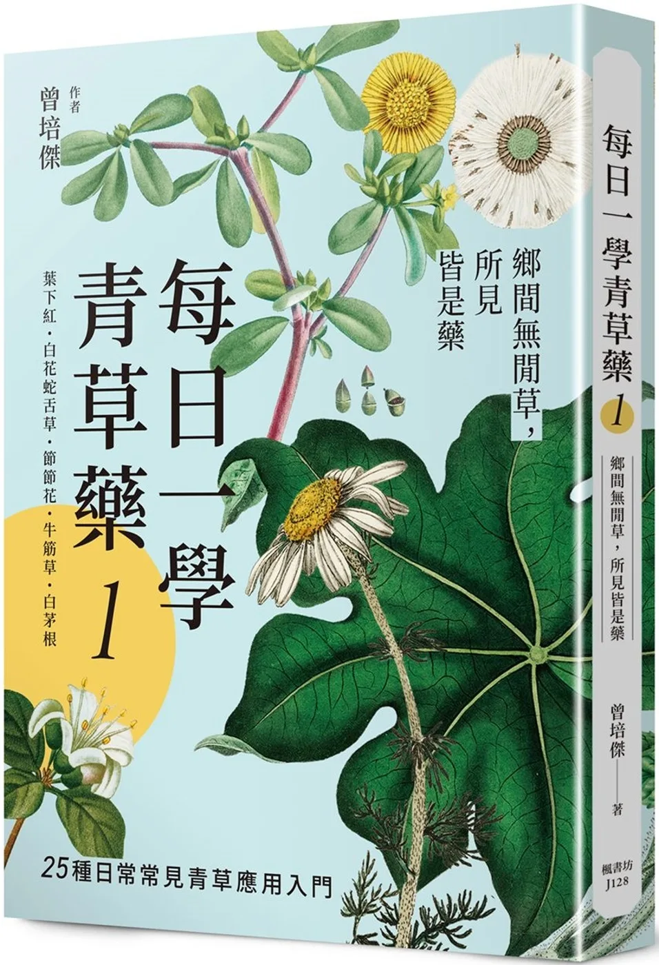 每日一學青草藥