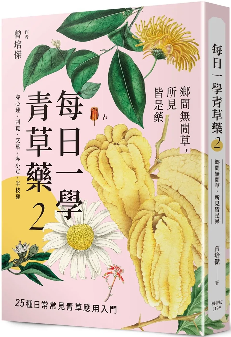 每日一學青草藥